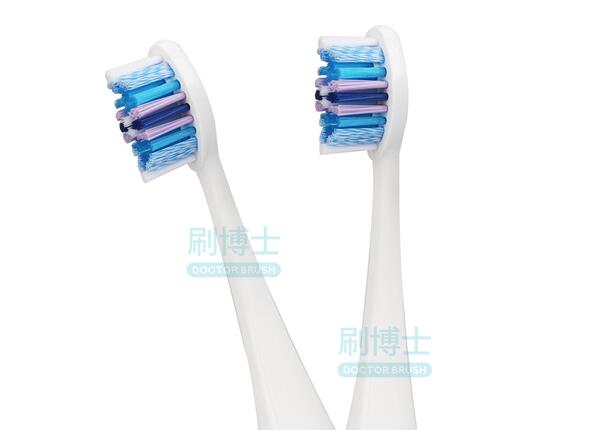 聲波電動牙刷刷頭