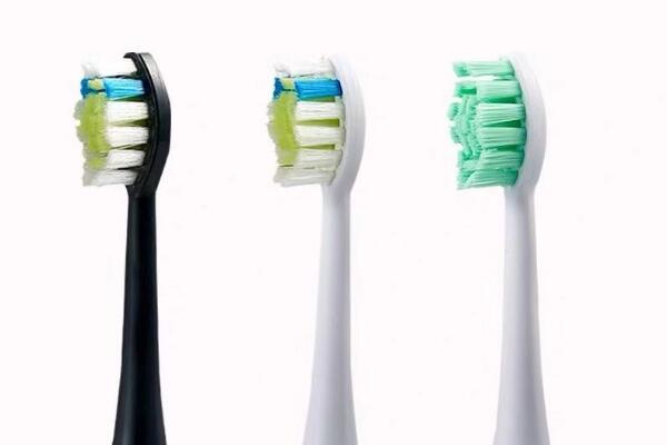 小米電動牙刷頭 小米電動牙刷頭