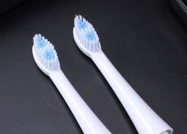 電動牙刷頭 電動牙刷頭什么價格比較合適