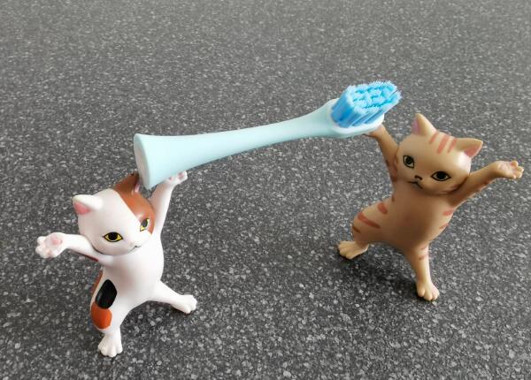 兒童電動(dòng)牙刷頭如何選擇？?jī)和妱?dòng)牙刷頭選購(gòu)要點(diǎn)